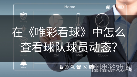 在《唯彩看球》中怎么查看球队球员动态？