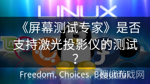 《屏幕测试专家》是否支持激光投影仪的测试? 《屏幕测试专家》是否支持激光投影仪的测试?