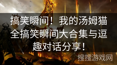 搞笑瞬间!我的汤姆猫全搞笑瞬间大合集与逗趣对话分享! 搞笑瞬间!我的汤姆猫全搞笑瞬间大合集与逗趣对话分享!