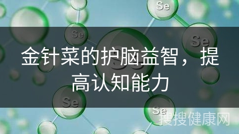 金针菜的护脑益智，提高认知能力