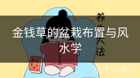 金钱草的盆栽布置与风水学