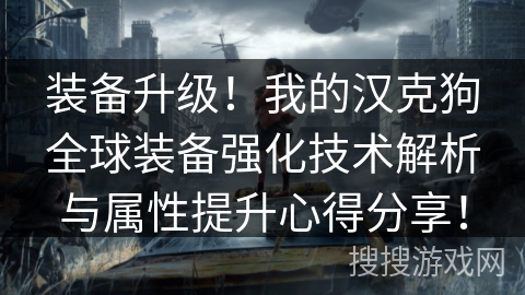 装备升级!我的汉克狗全球装备强化技术解析与属性提升心得分享! 装备升级!我的汉克狗全球装备强化技术解析与属性提升心得分享!