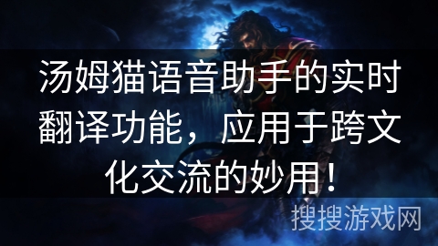 汤姆猫语音助手的实时翻译功能，应用于跨文化交流的妙用！