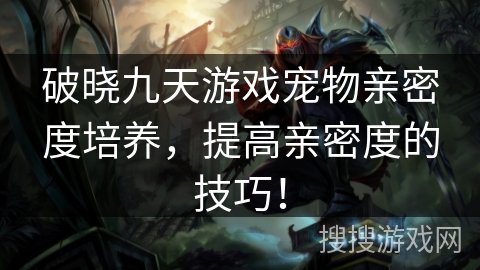 破晓九天游戏宠物亲密度培养，提高亲密度的技巧！