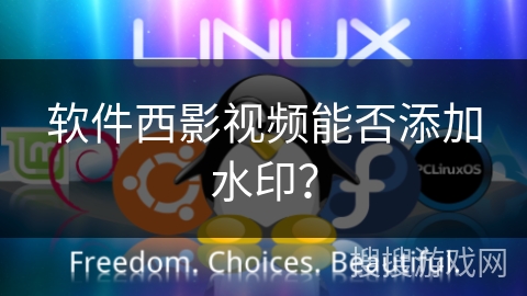 软件西影视频能否添加水印? 软件西影视频能否添加水印?