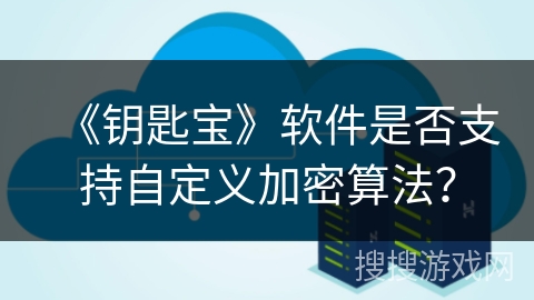 《钥匙宝》软件是否支持自定义加密算法？
