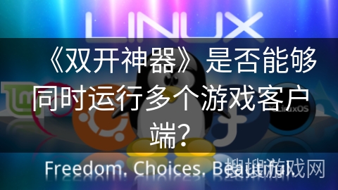 《双开神器》是否能够同时运行多个游戏客户端？