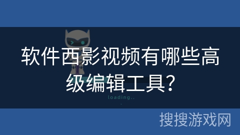 软件西影视频有哪些高级编辑工具？