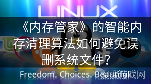 《内存管家》的智能内存清理算法如何避免误删系统文件？