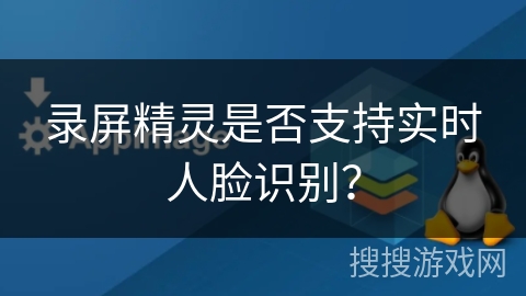 录屏精灵是否支持实时人脸识别？
