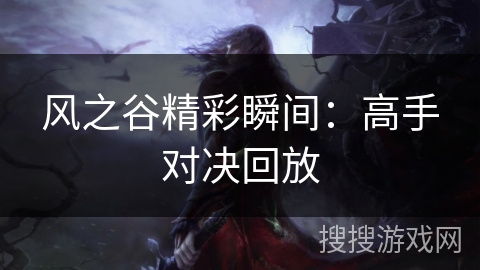 风之谷精彩瞬间：高手对决回放