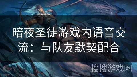 暗夜圣徒游戏内语音交流:与队友默契配合 暗夜圣徒游戏内语音交流:与队友默契配合
