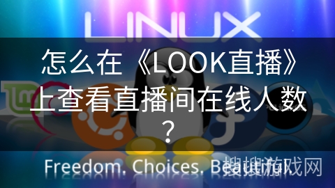 怎么在《LOOK直播》上查看直播间在线人数？