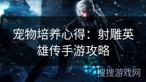 宠物培养心得：射雕英雄传手游攻略