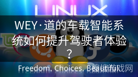 WEY·道的车载智能系统如何提升驾驶者体验？