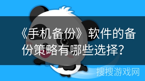《手机备份》软件的备份策略有哪些选择？