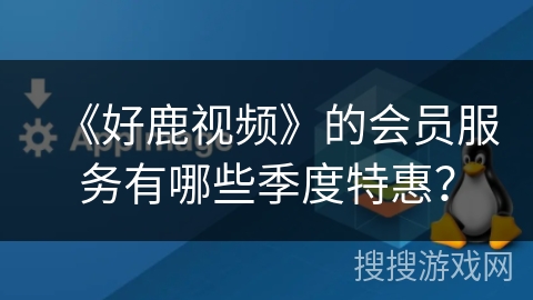 《好鹿视频》的会员服务有哪些季度特惠？