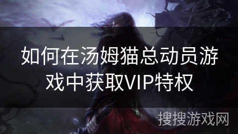 如何在汤姆猫总动员游戏中获取VIP特权