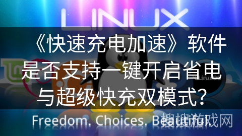 《快速充电加速》软件是否支持一键开启省电与超级快充双模式? 《快速充电加速》软件是否支持一键开启省电与超级快充双模式?