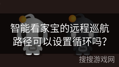 智能看家宝的远程巡航路径可以设置循环吗？