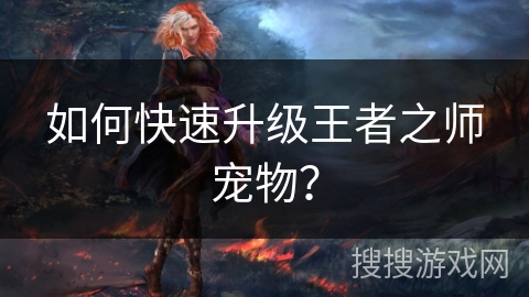 如何快速升级王者之师宠物？