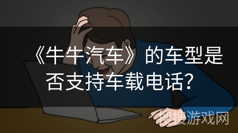 《牛牛汽车》的车型是否支持车载电话？