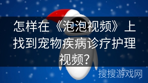怎样在《泡泡视频》上找到宠物疾病诊疗护理视频？