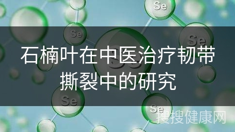 石楠叶在中医治疗韧带撕裂中的研究