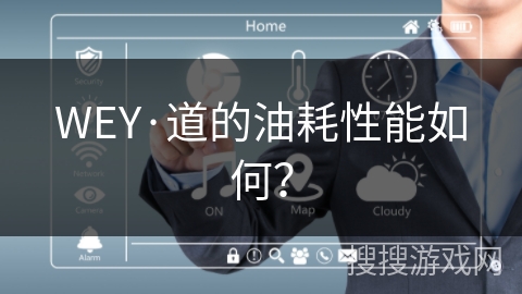 WEY·道的油耗性能如何？