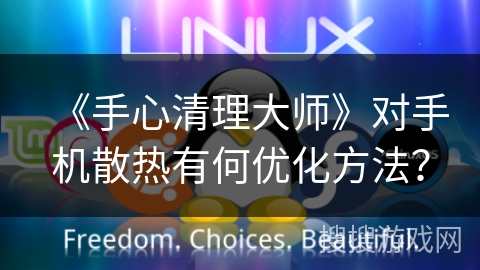 《手心清理大师》对手机散热有何优化方法？