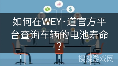 如何在WEY·道官方平台查询车辆的电池寿命？