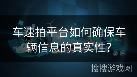 车速拍平台如何确保车辆信息的真实性？