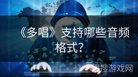 《多唱》支持哪些音频格式？