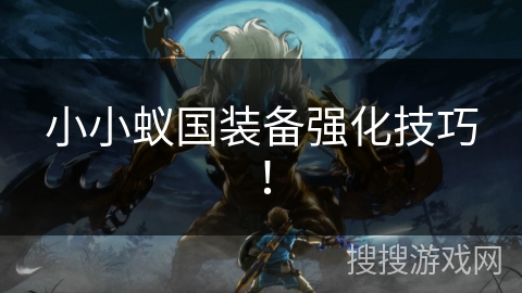 小小蚁国装备强化技巧！
