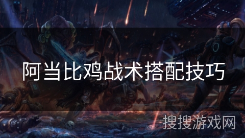 阿当比鸡战术搭配技巧