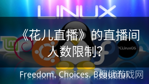 《花儿直播》的直播间人数限制? 《花儿直播》的直播间人数限制?