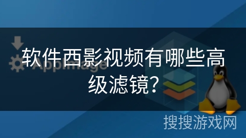 软件西影视频有哪些高级滤镜? 软件西影视频有哪些高级滤镜?