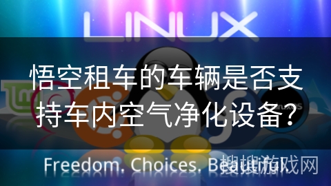 悟空租车的车辆是否支持车内空气净化设备？