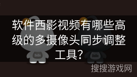 软件西影视频有哪些高级的多摄像头同步调整工具？