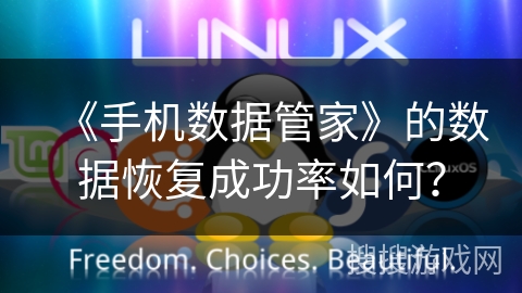 《手机数据管家》的数据恢复成功率如何？
