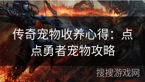 传奇宠物收养心得:点点勇者宠物攻略 传奇宠物收养心得:点点勇者宠物攻略