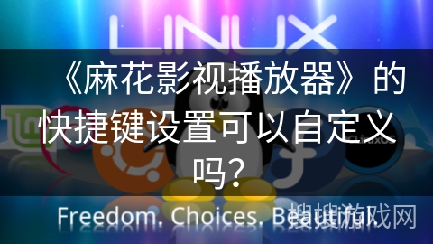 《麻花影视播放器》的快捷键设置可以自定义吗? 《麻花影视播放器》的快捷键设置可以自定义吗?
