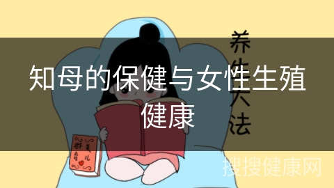 知母的保健与女性生殖健康