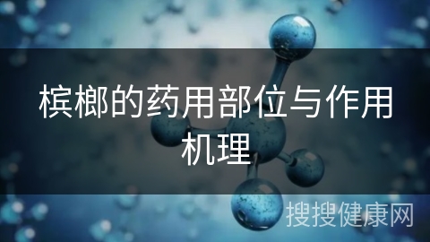 槟榔的药用部位与作用机理