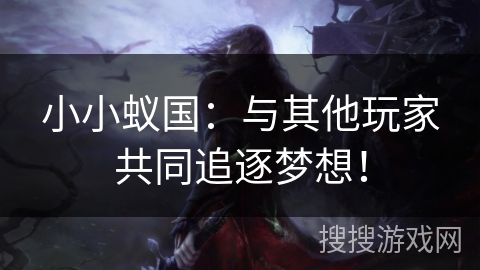 小小蚁国：与其他玩家共同追逐梦想！