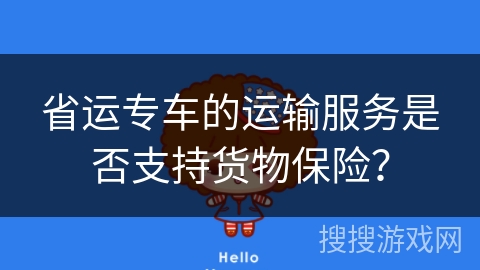 省运专车的运输服务是否支持货物保险？
