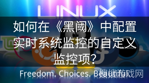 如何在《黑阈》中配置实时系统监控的自定义监控项？