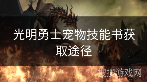 光明勇士宠物技能书获取途径
