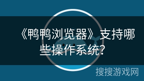 《鸭鸭浏览器》支持哪些操作系统？