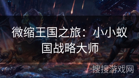 微缩王国之旅：小小蚁国战略大师